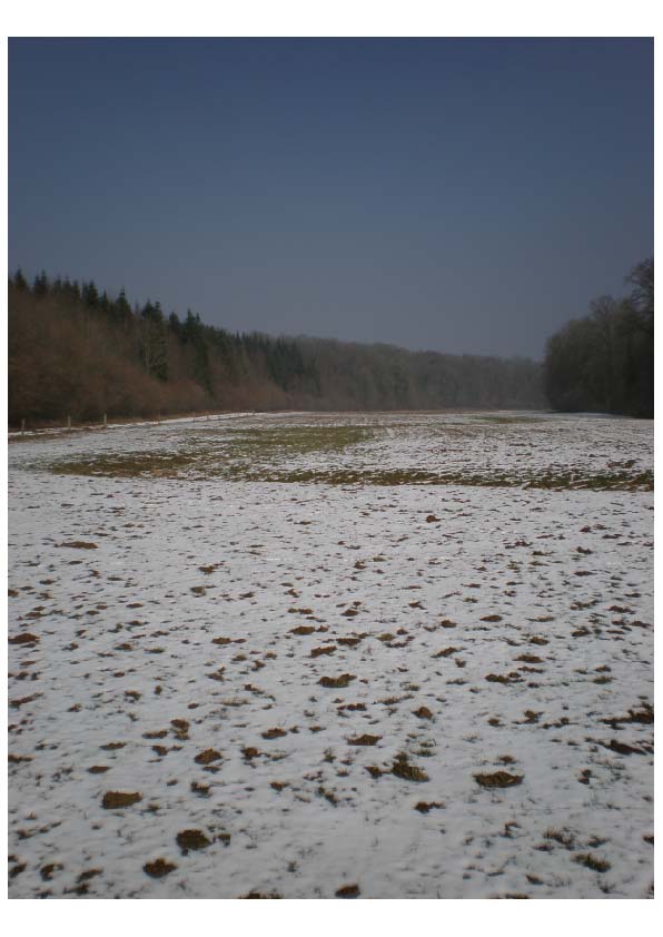 Vallée privée d'écoulement pérenne.

Photo prise dans la vallée sèche de l'Aroffe (V. Fister)